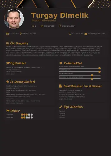 İnşaat Mühendisi Cv Örnekleri cv indir